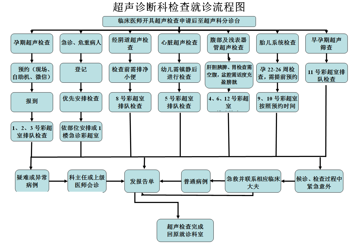 超声检查流程.jpg